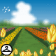 Colourful Flower Farm Background