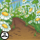 Rainbow Field of Daisies Background