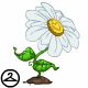 Mystical Daisy