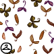 Seed Pod Shower
