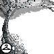 Black and White Tree