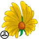 Sunflower Wings
