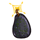 Bd_Avocado_Last