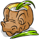 Foo_Krawk_Veggiedip