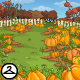 Mall_Bg_Happypumpkinpatch