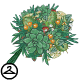 Mall_Hh_Succulentbouquet