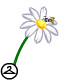Mall_Singledaisy_Gift