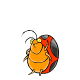 Petpetpet_Flugbug