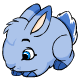 Snowbunny_Blue