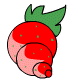 Tropical_Strongberry
