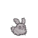 Doost Petpetpet